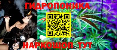 соль ск Новокубанск