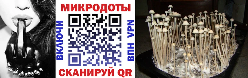 Псилоцибиновые грибы GOLDEN TEACHER  даркнет сайт  Чебоксары 