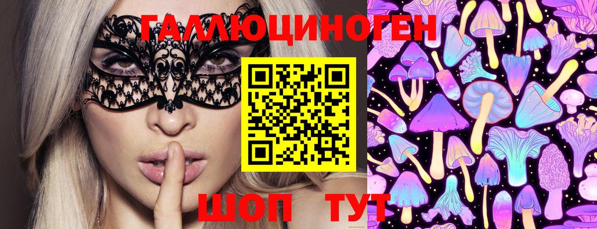 Галлюциногенные грибы Magic Shrooms  Вход с VPN  Чебоксары  где купить наркотик  Галлюциногенные грибы Cubensis 