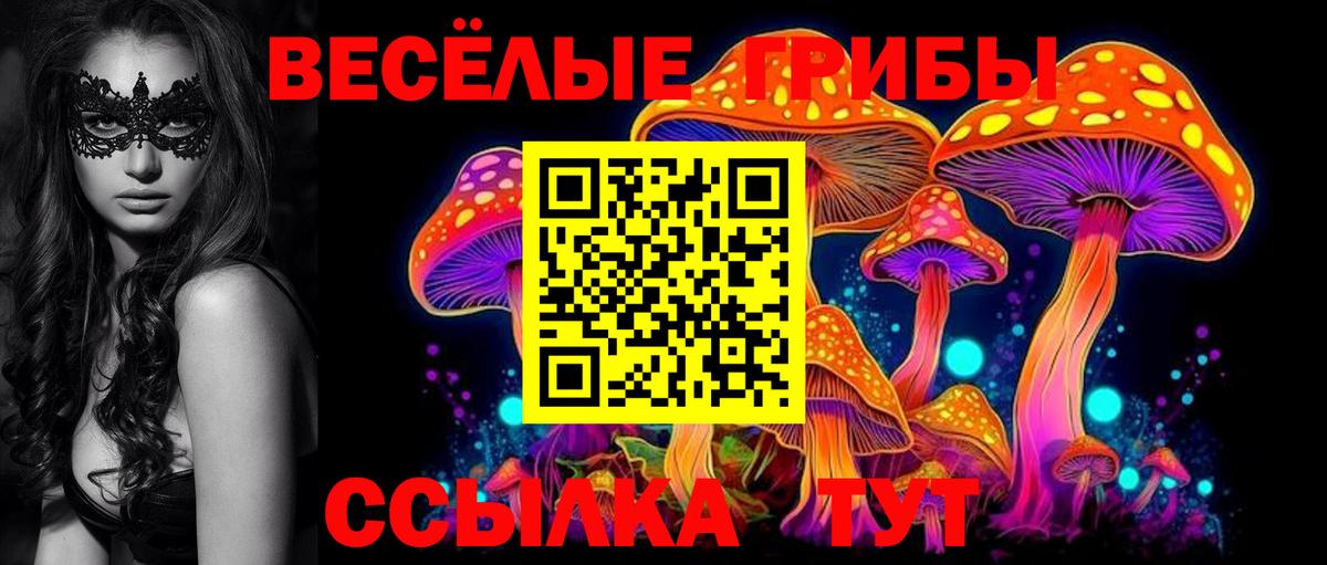 Псилоцибиновые грибы GOLDEN TEACHER Чебоксары